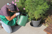 Floristik und Gartengestaltung